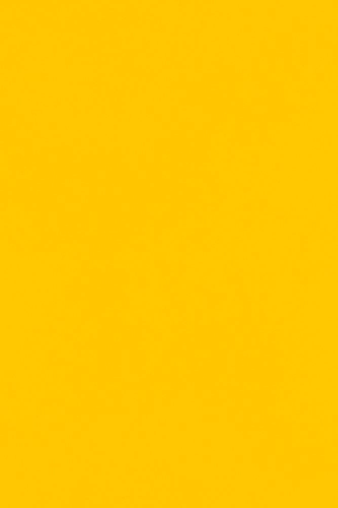 Sunflower Yellow 100lb 12 x 18 Cardstock