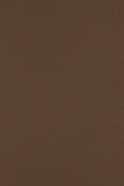 Chocolate Brown 100lb 12 x 18 Cardstock