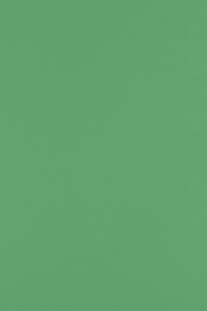 Holiday Green 100lb 12 x 18 Cardstock