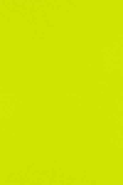 Wasabi Lime Green 100lb 12 x 18 Cardstock