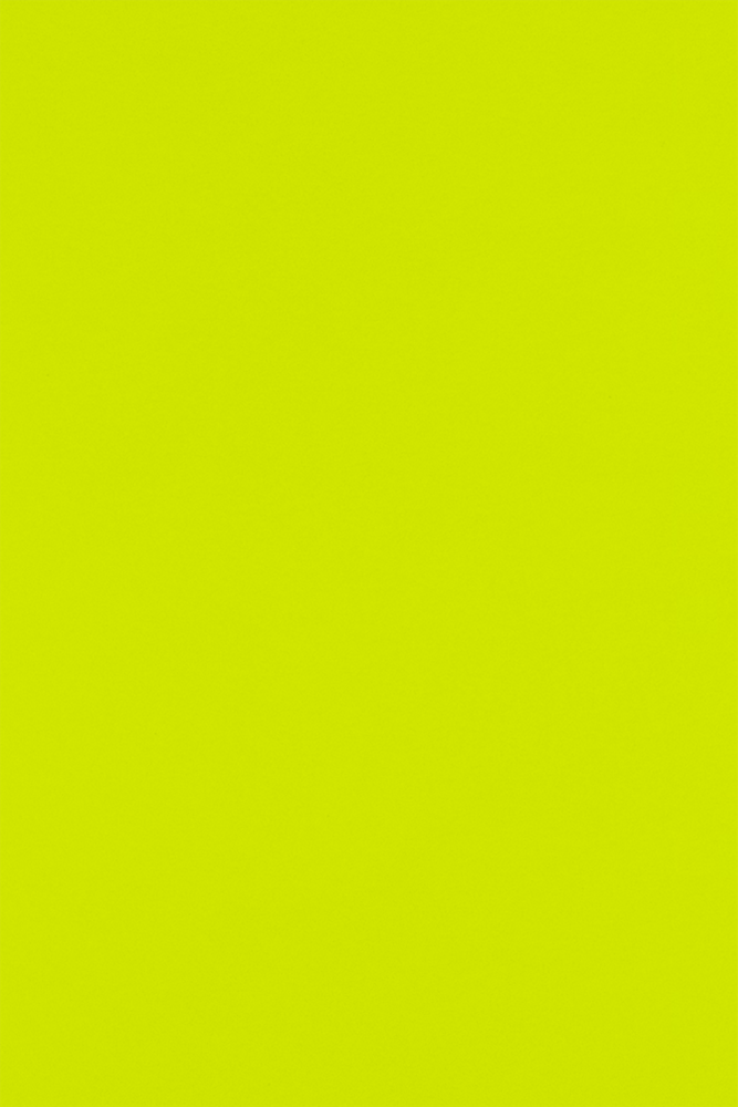 Wasabi Lime Green 100lb 12 x 18 Cardstock