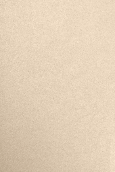 Light Brown Taupe Metallic 105lb 12 x 18 Cardstock