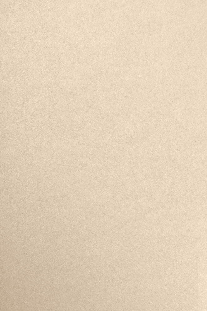 Light Brown Taupe Metallic 105lb 12 x 18 Cardstock