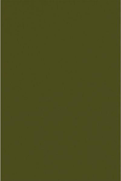 Dark Green Olive 28lb 12 x 18 Paper
