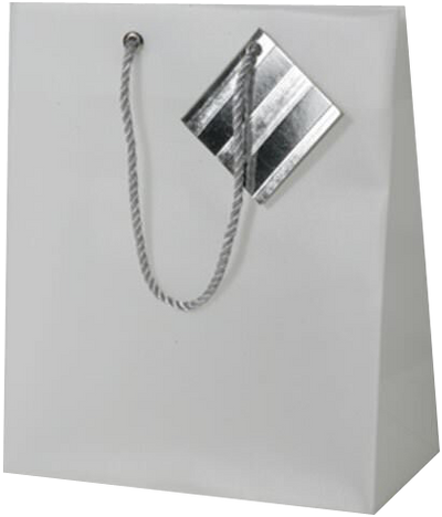 Clear Smal Opaque Shopping Bags (7 1/2 x 9 x 4)