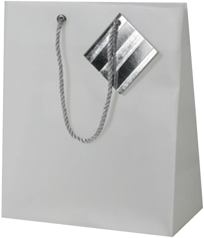 Clear Smal Opaque Shopping Bags (7 1/2 x 9 x 4)