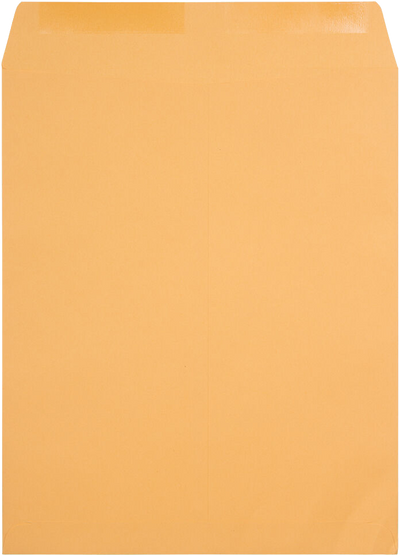 Brown Kraft 28lb 22 x 27 Open End Envelopes