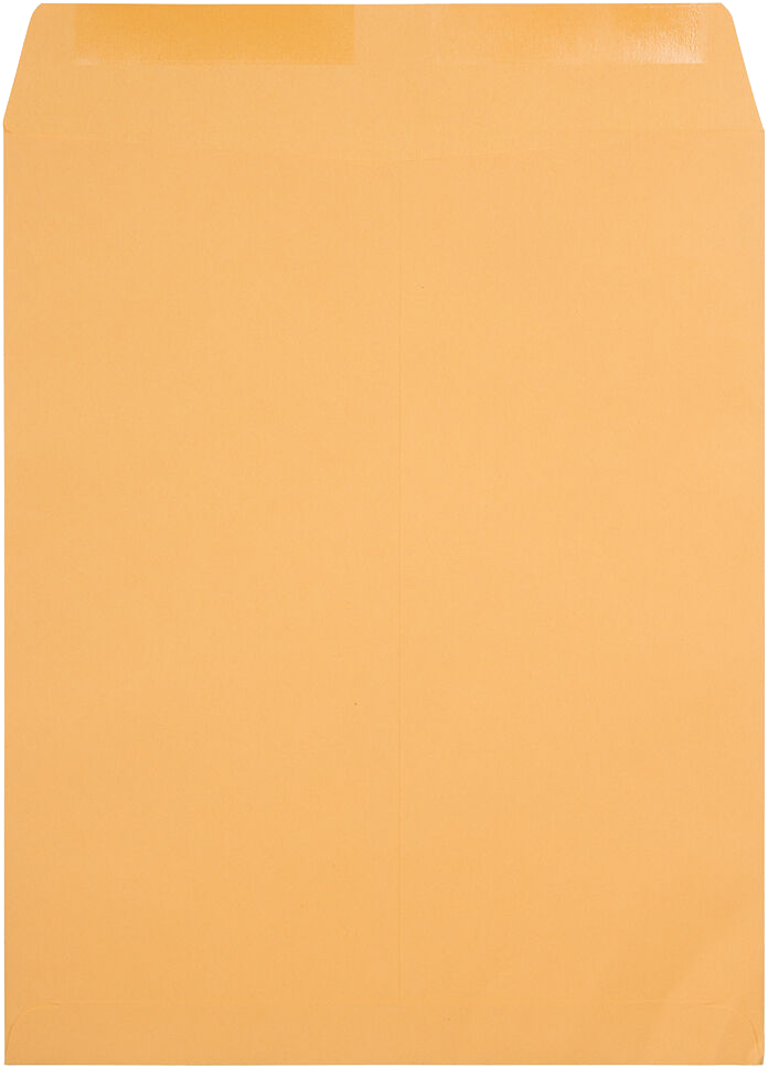 Brown Kraft 28lb 22 x 27 Open End Envelopes