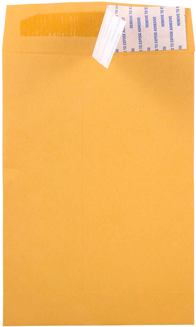 Brown Kraft 28lb 6 x 9 Open End Envelopes with Peel & Seal