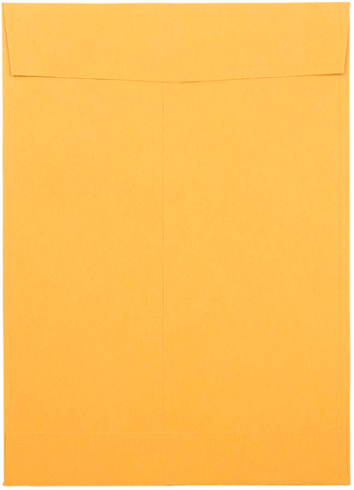 Brown Kraft 28lb 6 1/2 x 9 1/2 Open End Envelopes with Peel & Seal