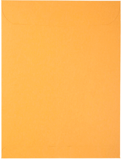 Brown Kraft 28lb 9 1/2 x 12 1/2 Open End Envelopes with Peel & Seal
