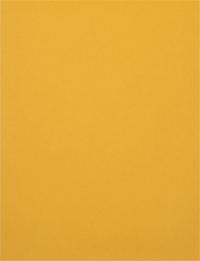 Brown Kraft 28lb 10 x 13 Open End Envelopes with Peel & Seal