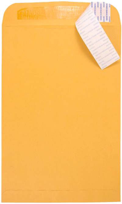 Brown Kraft 28lb 10 x 15 Open End Envelopes with Peel & Seal