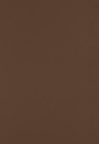 Chocolate Brown 100lb 13 x 19 Cardstock