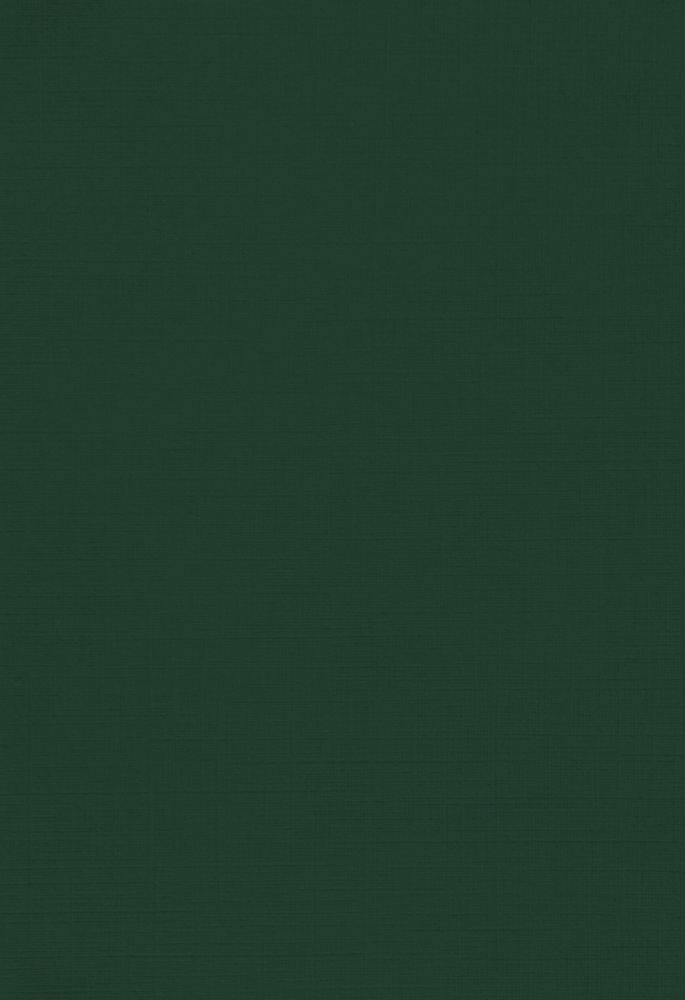 Dark Green Linen 100lb 13 x 19 Cardstock