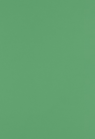 Holiday Green 100lb 13 x 19 Cardstock