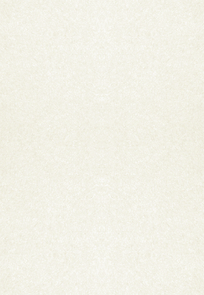 White Quartz Metallic 105lb 13 x 19 Cardstock