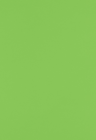 Limelight Green 32lb 13 x 19 Paper