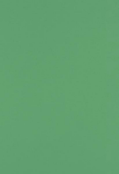 Holiday Green 32lb 13 x 19 Paper