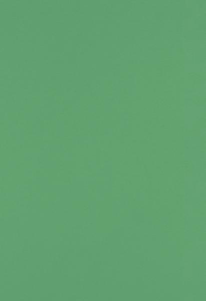 Holiday Green 32lb 13 x 19 Paper
