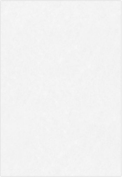 Brilliant White 100% Cotton 32lb 13 x 19 Paper