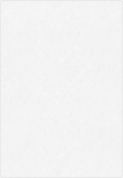 Brilliant White 100% Cotton 32lb 13 x 19 Paper