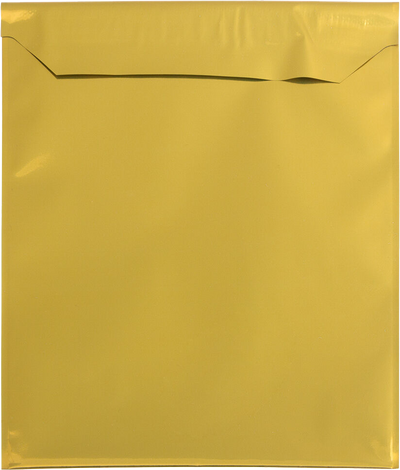 Gold Foil 32lb 6 1/4 x 7 7/8 Invitation Envelopes with Peel & Seal