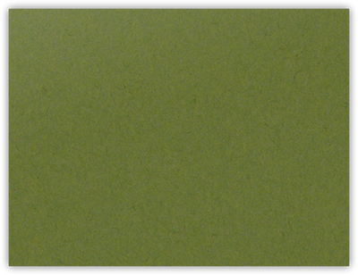 Jellybean Green Vellum 100lb 2 3/4 x 3 3/4 One Pocket Key Card Holders with 2 1/4 Inch Pocket