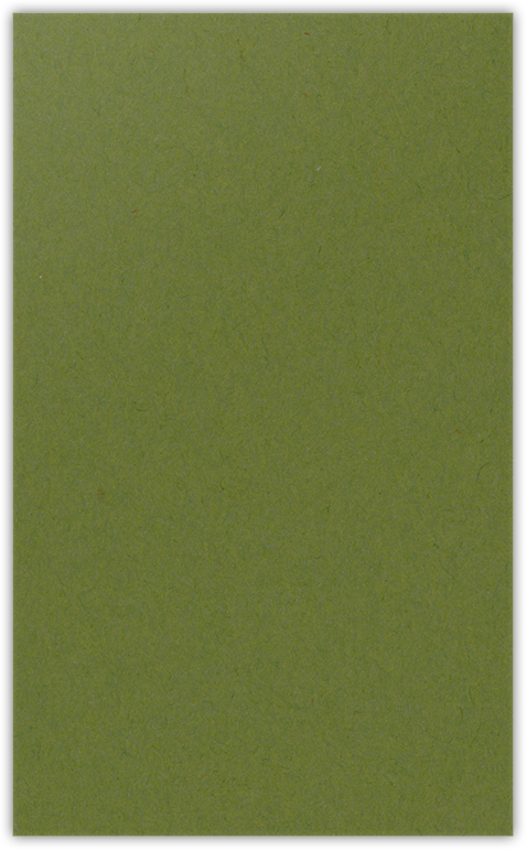 Jellybean Green Vellum 100lb 2 3/4 x 4 1/2 One Curved Pocket Key Card Holders with 3 Inch Pocket