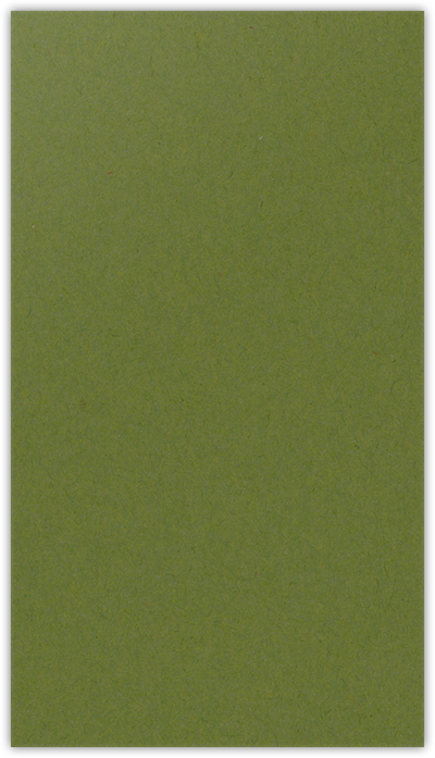 Jellybean Green Vellum 100lb 3 3/8 x 6 One Pocket Key Card Holders with 2 1/2 Inch Pocket