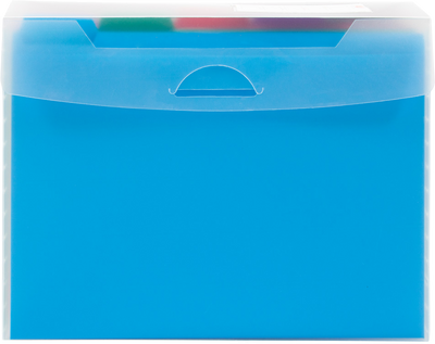Clear Storage Box with 5 Assorted Files