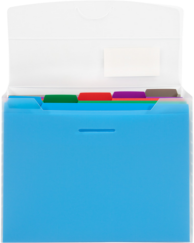 Clear Storage Box with 5 Assorted Files
