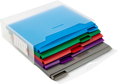 Clear Storage Box with 5 Assorted Files