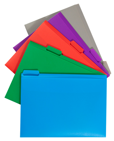 Clear Storage Box with 5 Assorted Files