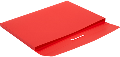 Clear Storage Box with 5 Assorted Files