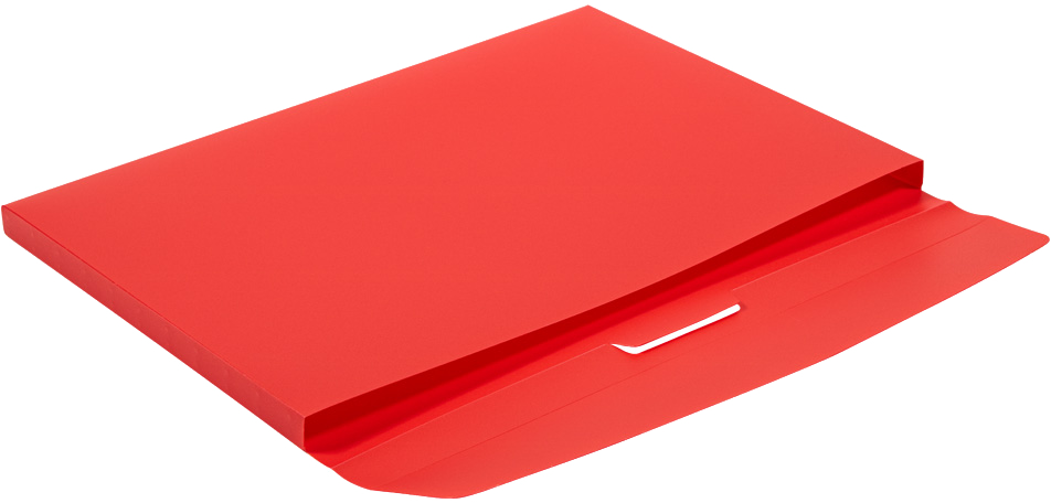 Clear Storage Box with 5 Assorted Files