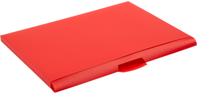 Clear Storage Box with 5 Assorted Files