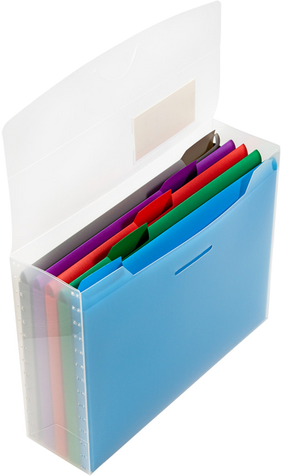 Clear Storage Box with 5 Assorted Files