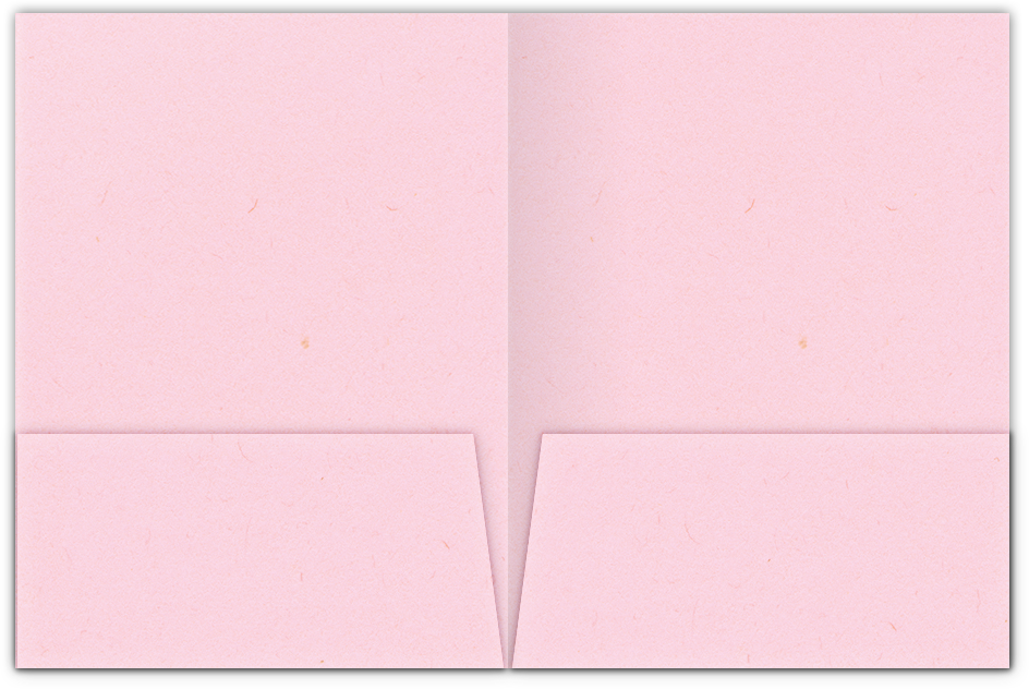 Pink Lemonade 9 x 12 Folders