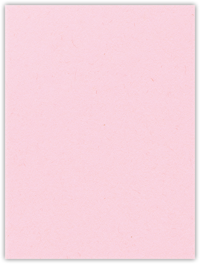 Pink Lemonade 9 x 12 Folders
