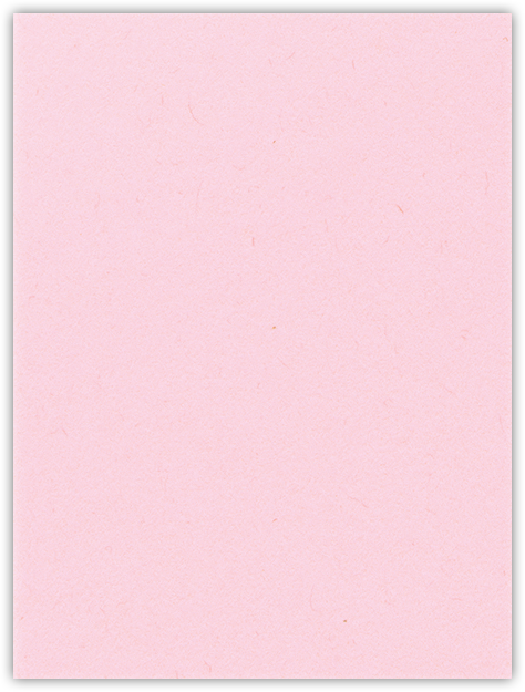 Pink Lemonade 9 x 12 Folders