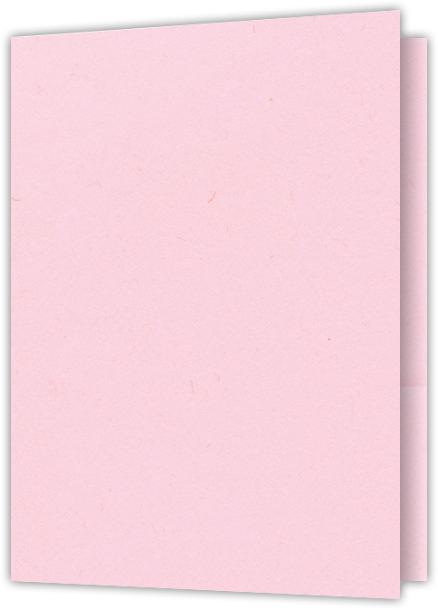 Pink Lemonade 9 x 12 Folders