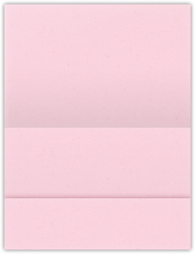 Pink Lemonade Vellum 100lb 5 1/8 x 3 3/8 One Pocket Landscape Photo Holders with 1 3/8 Inch Pocket