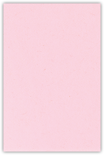 Pink Lemonade Vellum 100lb 5 1/8 x 3 3/8 One Pocket Landscape Photo Holders with 1 3/8 Inch Pocket