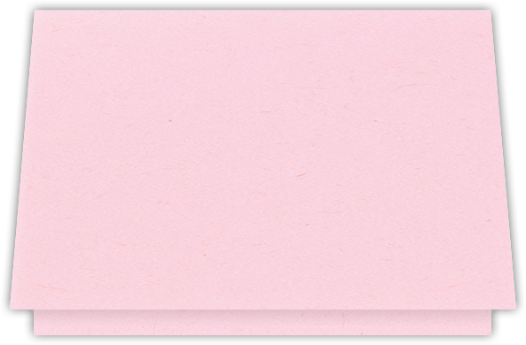 Pink Lemonade Vellum 100lb 5 1/8 x 3 3/8 One Pocket Landscape Photo Holders with 1 3/8 Inch Pocket