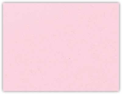 Pink Lemonade Vellum 100lb 2 3/4 x 3 3/4 One Pocket Key Card Holders with 2 1/4 Inch Pocket