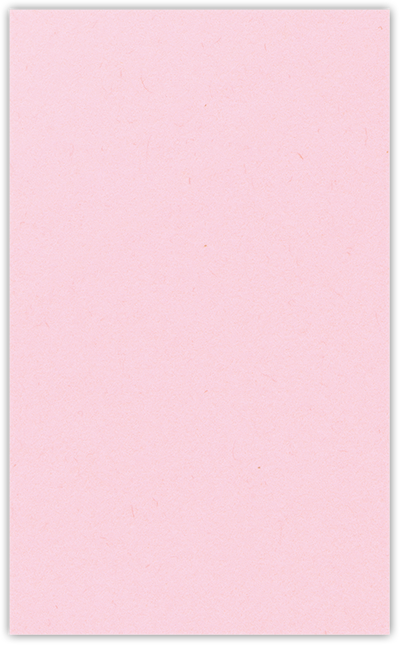Pink Lemonade Vellum 100lb 2 3/4 x 4 1/2 One Curved Pocket Key Card Holders with 3 Inch Pocket