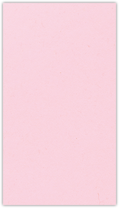 Pink Lemonade Vellum 100lb 3 3/8 x 6 One Pocket Key Card Holders with 2 1/2 Inch Pocket