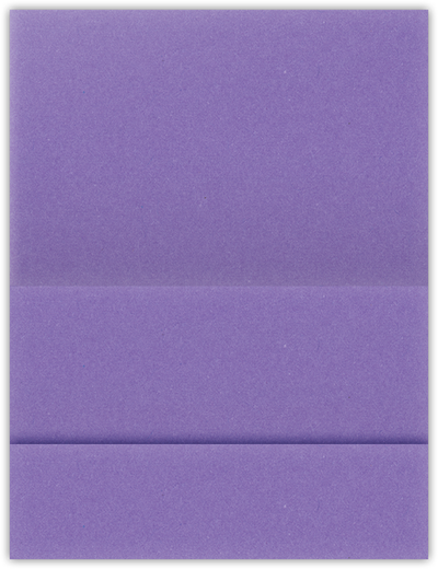 Grape Jelly Vellum 100lb 5 1/8 x 3 3/8 One Pocket Landscape Photo Holders with 1 3/8 Inch Pocket