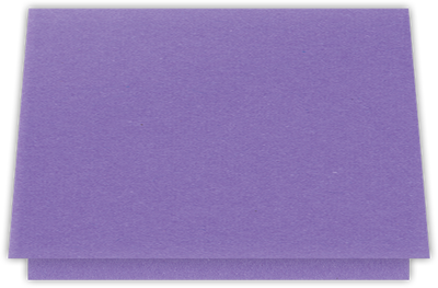 Grape Jelly Vellum 100lb 5 1/8 x 3 3/8 One Pocket Landscape Photo Holders with 1 3/8 Inch Pocket